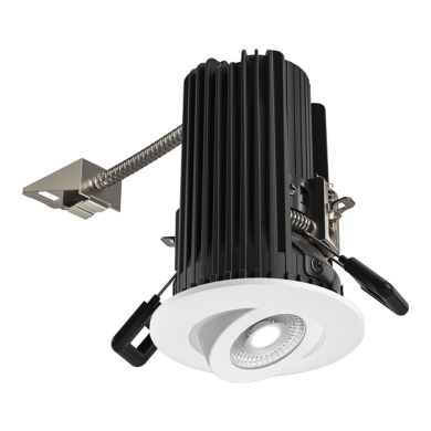 2" Round Adjustable Teak™ LED Light Engine