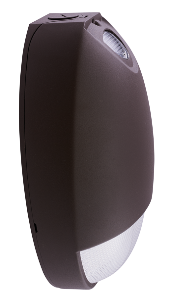 Outdoor LED Diecast Emergency & Path Light with Battery Backup
