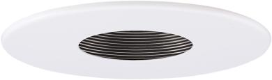 4" Adjustable Pinhole with Baffle Trim