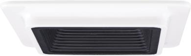 Black w/White Trim