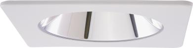 Clear w/White Trim