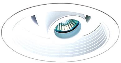 6" Adjustable Spot with Phenolic Baffle Trim