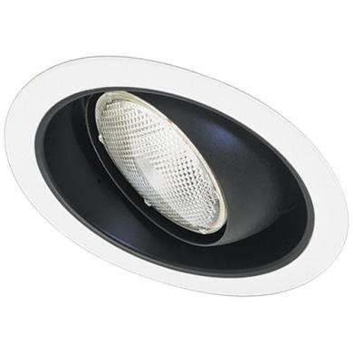 5" Sloped Regressed Eyeball with Reflector Trim 