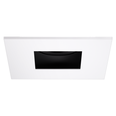 Black with White Trim