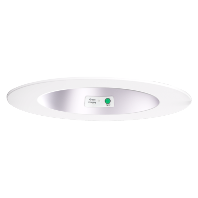 Haze White Trim w Test Switch