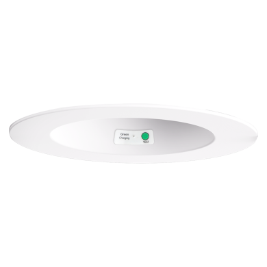 White Trim w Test Switch
