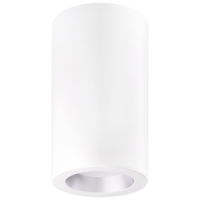 Haze with White Trim