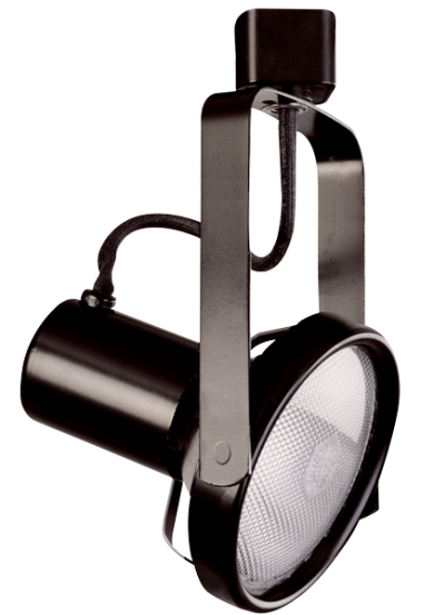 PAR 38 Line Voltage Front Loading Adjustable Gimbal Track Fixture