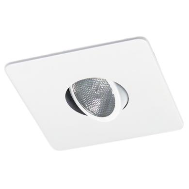 4" Square Trim with Gimbal