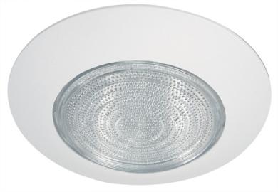 6" Shower Trim with Fresnel Lens and Cone Reflector