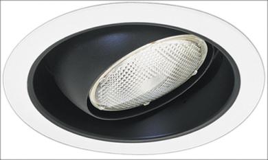 5" Regressed Eyeball with Reflector Trim