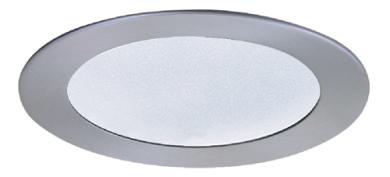 4" Shower Trim with Frosted Lens