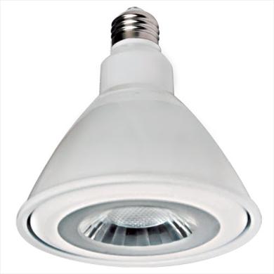 120V PAR38 LED Lamp E26