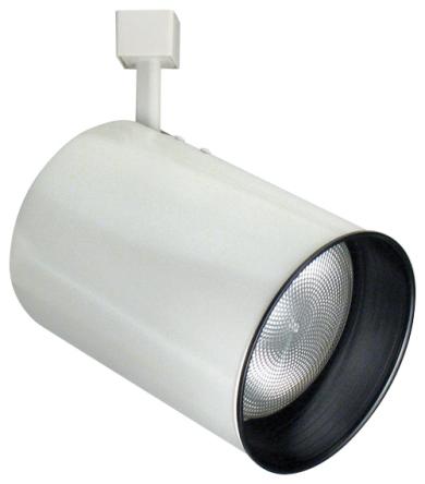 PAR 38 Line Voltage Flat Back Cylinder Track Fixture