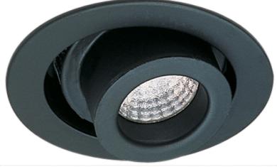 4" Adjustable Spot Cylinder Trim