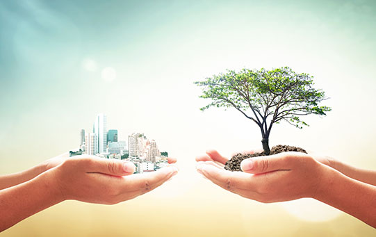  The Sustainable Choice